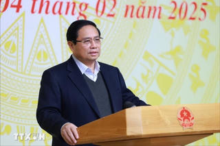 Thủ tướng: 'Vừa chạy, vừa xếp hàng' trong triển khai xây nhà máy điện hạt nhân