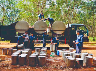 Công ty cổ phần Cao su Đắk Lắk (Dakruco): Hướng tới phát triển ngành cao su bền vững