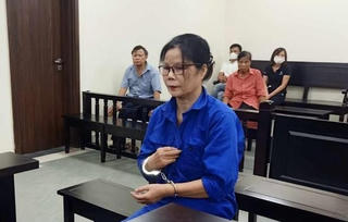Hà Nội: Xét xử 'nữ quái' chiếm đoạt tiền tỷ của cặp vợ chồng