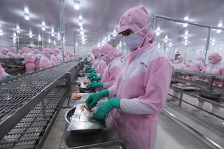 Thúc đẩy tiềm năng xuất khẩu thủy sản