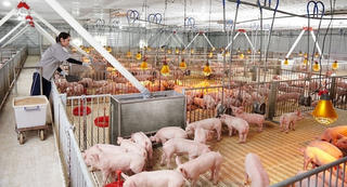 Gỡ rào cản, duy trì tăng trưởng