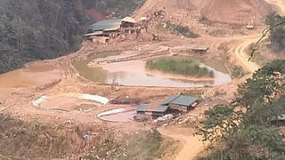 Nghệ An: Nhiều doanh nghiệp lấn chiếm đất nông nghiệp