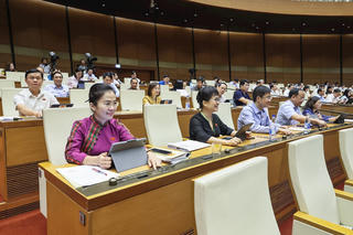 Ngày bầu cử đại biểu Quốc hội khoá XVI và đại biểu Hội đồng nhân dân các cấp nhiệm kỳ 2026 - 2031 là ngày 15/3/2026