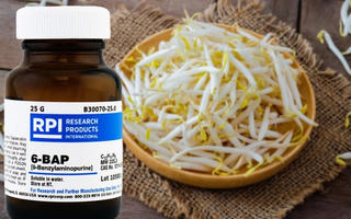 Xin đừng “đầu độc” đồng bào