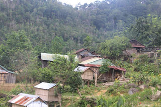 Chủ tịch huyện Nam Giang: Không có việc học sinh ăn cơm chỉ với một món thịt chuột