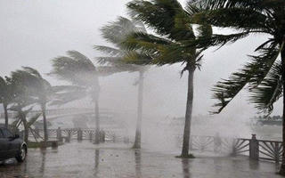 Bộ Y tế yêu cầu trực cấp cứu 24/24h, sẵn sàng ứng phó với bão số 2