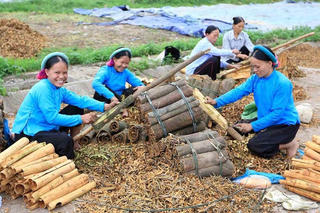 Những chuyển biến tích cực từ Chương trình Mục tiêu quốc gia