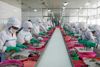 Dấu hiệu phục hồi của thủy sản xuất khẩu