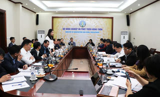 Đề nghị Thủ tướng Chính phủ công nhận huyện Vân Đồn và TP Hạ Long đạt chuẩn NTM