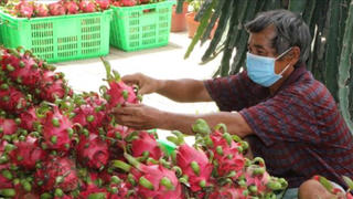 Liên kết để tiêu thụ hàng hóa