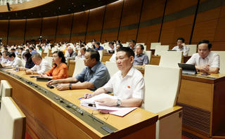 Ngăn chặn mua bán thai nhi trong bụng mẹ