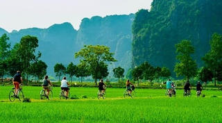 Thấy gì ở con số 5%?