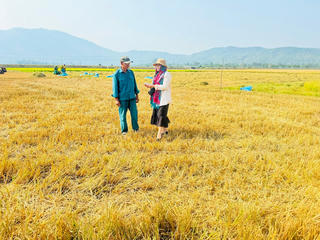 Đắk Lắk: Gần trăm ha ruộng ở xã Bông Krang bị bỏ hoang vì không có nước sản xuất