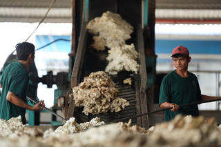 Hành trình vươn xa của cây cao su Việt Bài cuối: Những sáng kiến 'Made in Việt Nam'