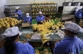 Ngành nông nghiệp: Thích ứng với yêu cầu mới từ các thị trường