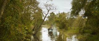Lộ diện tạo hình của Trấn Thành, Băng Di, Mai Tài Phến trong 'Đất rừng phương Nam'
