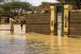 Hơn 50 người bị thiệt mạng do mưa lớn, lũ lụt ở Sudan
