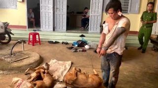 Đắk Lắk: Tạm giữ hình sự đối tượng trộm chó, đâm trọng thương chủ nhà