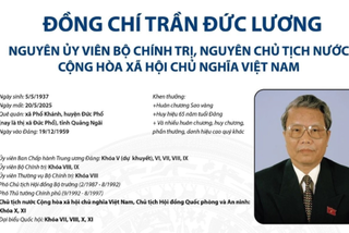 Nguyên Ủy viên Bộ Chính trị, nguyên Chủ tịch nước Trần Đức Lương