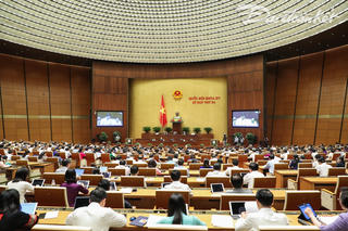 Chọn một số phiên đấu giá đất gây chú ý để xác minh, làm rõ