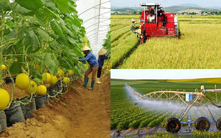 Phát triển kinh tế tập thể là xu hướng tất yếu