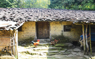 Độc đáo nhà trình tường