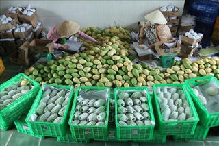 'Chìa khóa' cho xuất khẩu bền vững