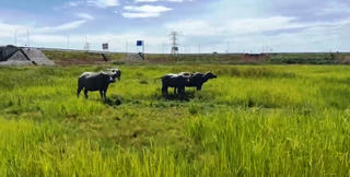 Nhà thầu tắc trách, 10 ha đất phải bỏ hoang