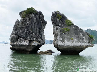 Một huyền thoại tình yêu