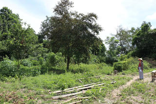 Chuyển mục đích 300 m2 đất hết 4,5 tỷ đồng ở Nghệ An: Quyết định không có điều khoản chuyển tiếp