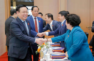 Phát huy 'sức mạnh mềm' của ngoại giao nghị viện