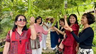 Nông dân làm du lịch vườn