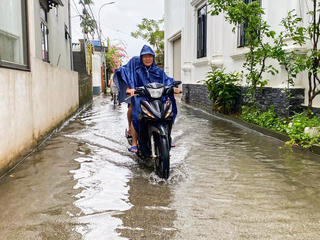 Ninh Bình: Cây đổ, khu dân cư ngập nước trước khi bão số 5 đổ bộ