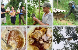 Vào rừng sâu săn mật ong Khoái