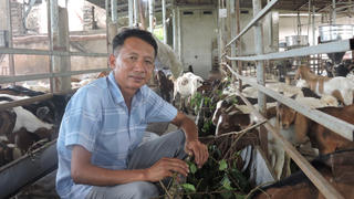 Về Bắc Giang gặp “Vua dê” xứ Bắc