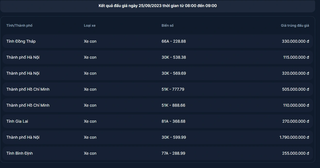 Kết thúc buổi đấu giá sáng 25/9, 24 biển số đẹp đã có chủ