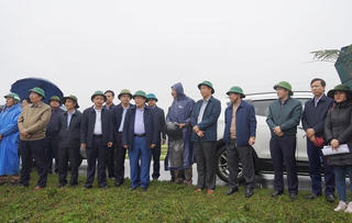 Thăm sản xuất đầu năm, lãnh đạo tỉnh Quảng Trị chỉ đạo gì với ngành nông nghiệp?