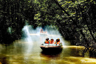 Đi ca nô xuyên rừng đước, bắt nghêu, ngắm hoàng hôn ở đất Mũi