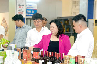 Hải Phòng: Thúc đẩy sáng tạo, bảo hộ tài sản trí tuệ