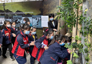 Không dạy chính khóa, sẽ dạy ngoại khóa?