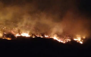 Phó Thủ tướng chỉ đạo tập trung khắc phục hậu quả do cháy rừng tại Quảng Ninh