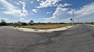 Quảng Trị: Nhiều cây xanh ở một dự án hạ tầng bị chết hiện nay như thế nào?