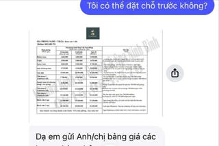 Hải Phòng: Bị lừa hơn 1 tỷ đồng khi đặt phòng du lịch qua mạng