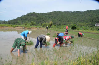 Ngày mới ở Hoành Mô