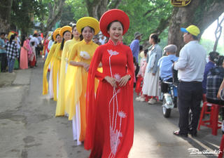 Duyên dáng áo dài mùa hoa sưa