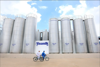 Dấu ấn khác biệt của Vinamilk với hành trình 16 năm liền là Thương hiệu quốc gia