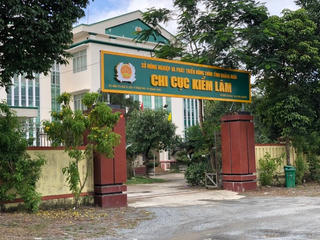 Thu hồi gần 1 tỷ đồng của Chi cục kiểm lâm tỉnh Quảng Ngãi 