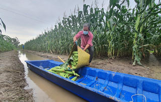 Khởi sắc ở vùng đồng bào Khmer