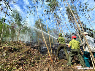 Quảng Ngãi: Chủ động phòng cháy, chữa cháy rừng