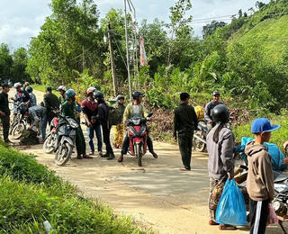 Người dân đổ xô vào rừng nhặt ươi bay